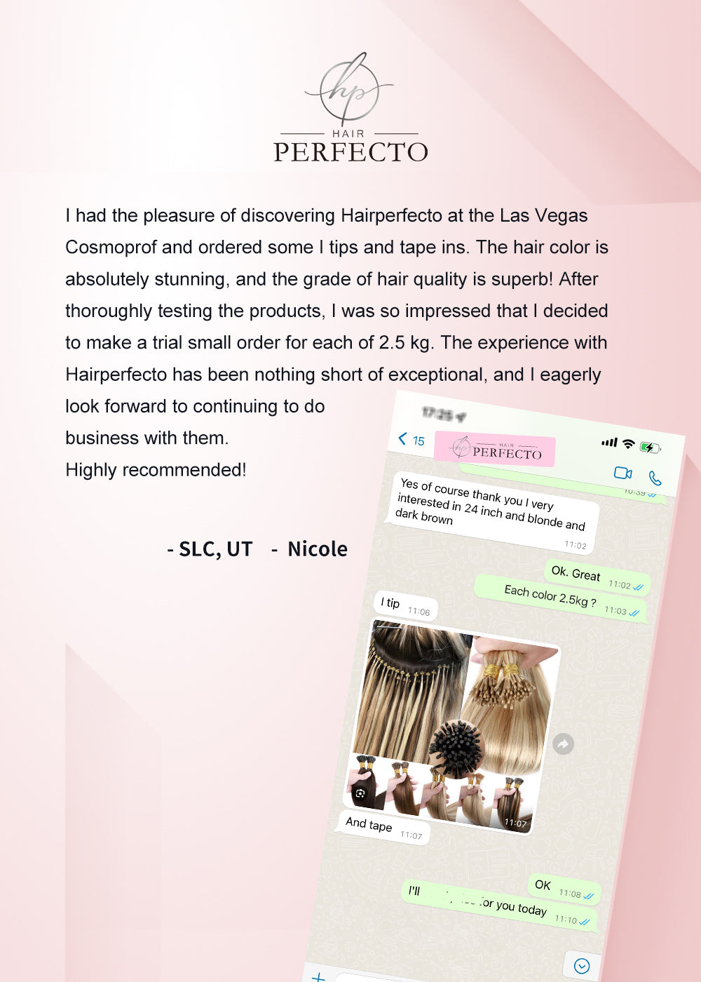 Hairperfecto Nicole Review